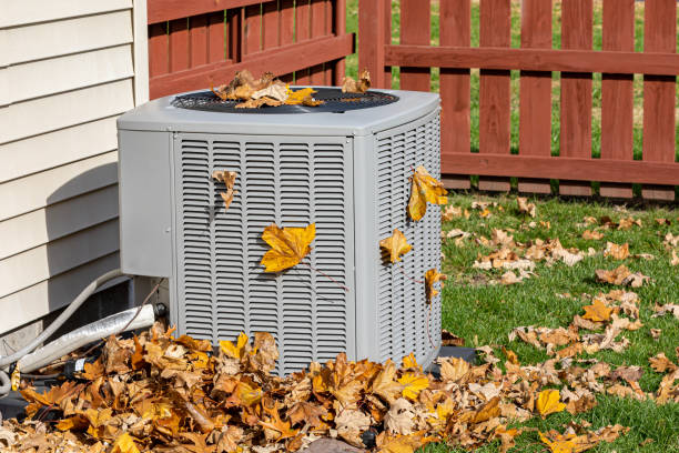 Best Ductless HVAC Repair  in Albany, GA